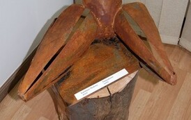 sw2711200919
