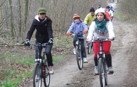 ms1212200908
