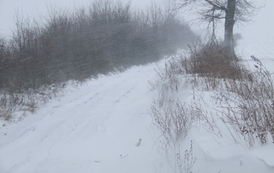 rn0901201019