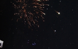 wosp1001201056