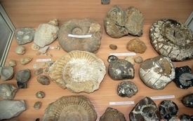 ws1102201001