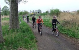 rrr0805201008