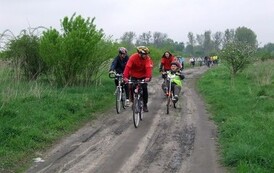 rrr0805201003