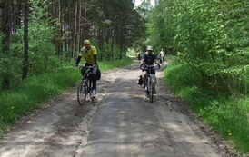 rrr2105201066