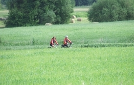 sg1806201009
