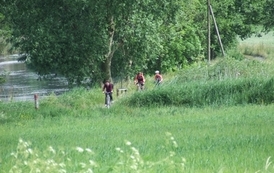 sg1806201008