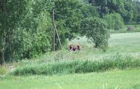 sg1806201007