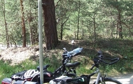 rw0607201040