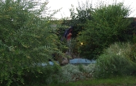 pr2908201007