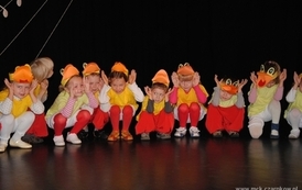 gc2909201028