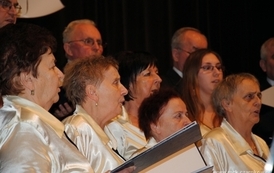 wosp0901201143