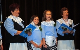 wosp0901201137