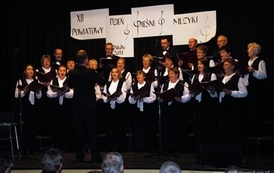 wosp0901201117