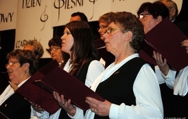 wosp0901201115