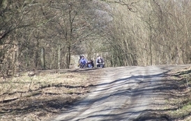 rw1903201134