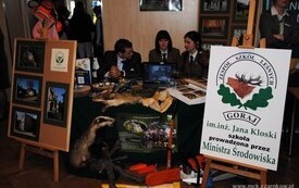 gz0804201118