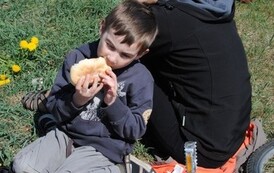 rrr3004201168