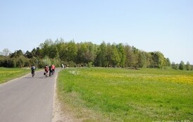 rrr3004201153