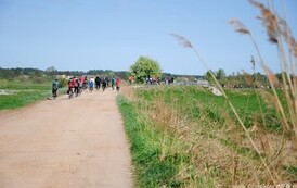 rrr3004201152