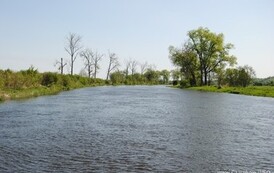 rrr3004201142