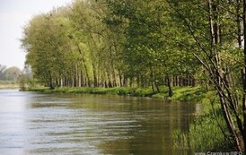rrr3004201101