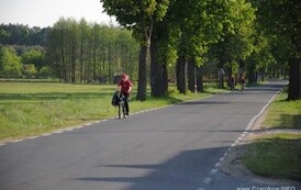 nk0805201116
