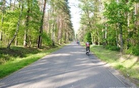 nk0805201115