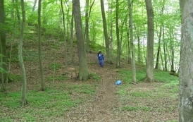 sg14052011129