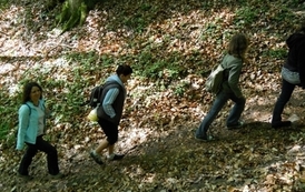 sg14052011101