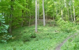 sg1405201198