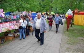 dzc_jn_2905201110