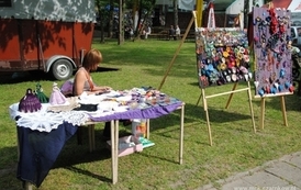 dzc_jn_2905201103