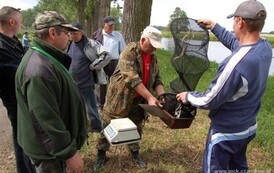 dzc_zw_2905201104