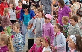 dzc_pp_2805201126