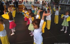 dzc_pp_2805201119