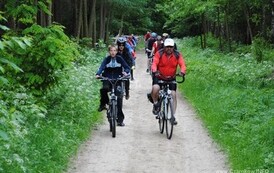 dzc_rr_2905201196