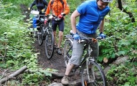 dzc_rr_2905201195
