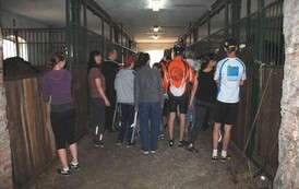 dzc_rr_2905201180