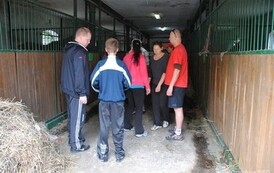 dzc_rr_2905201179