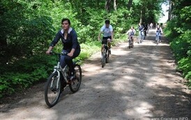 dzc_rr_2905201135
