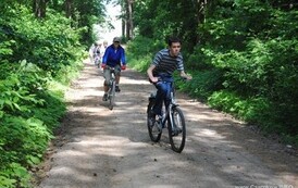 dzc_rr_2905201134
