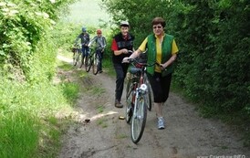 dzc_rr_2905201131