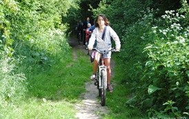 dzc_rr_2905201123