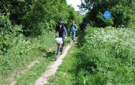 dzc_rr_2905201121