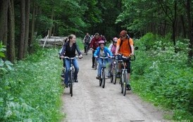 dzc_rr_2905201199