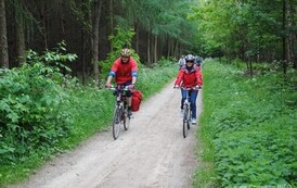 dzc_rr_2905201197
