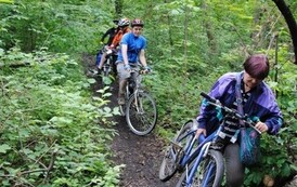 dzc_rr_2905201194