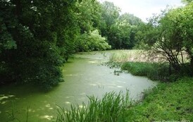dzc_rr_2905201183