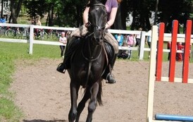 dzc_rr_2905201166