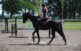 dzc_rr_2905201163